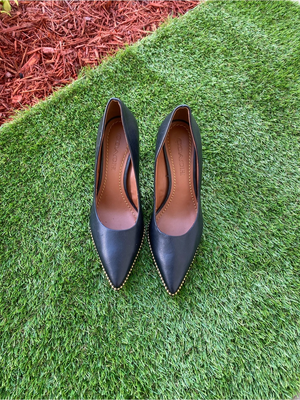 Coach Black Pointed Leather Pumps with Gold Stud Accent